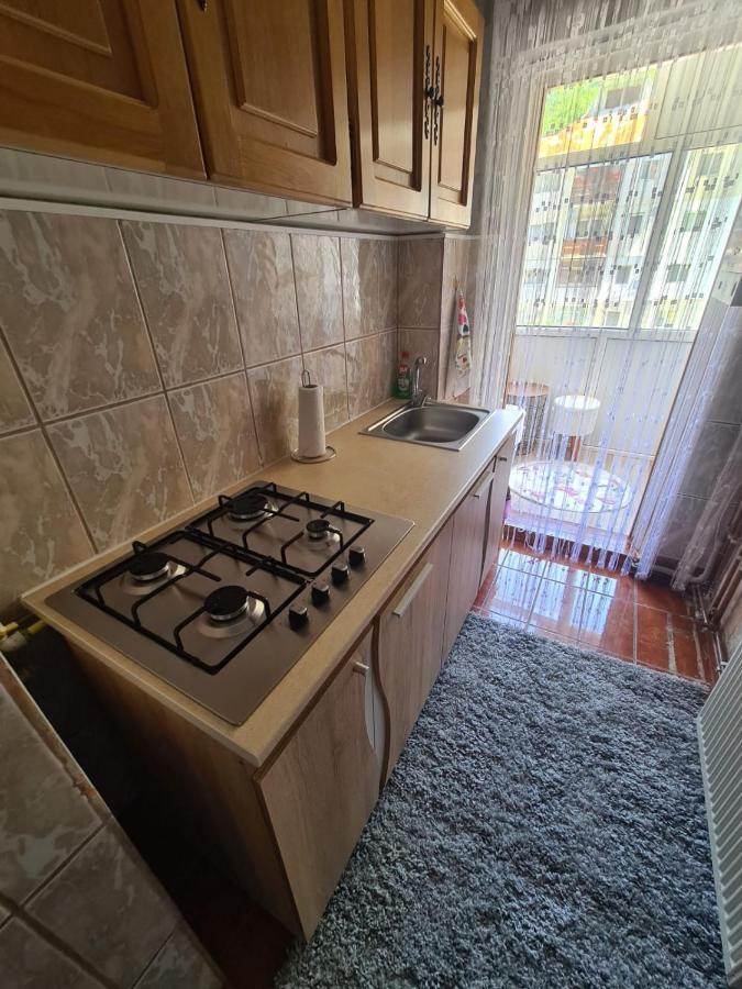 Garsoniera Slanic-Moldova Appartement Buitenkant foto